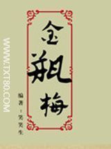 金瓶梅txt小说下载-金瓶梅TXT全集下载